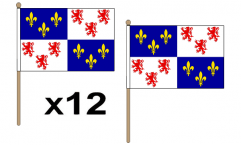 Regional Hand Flags